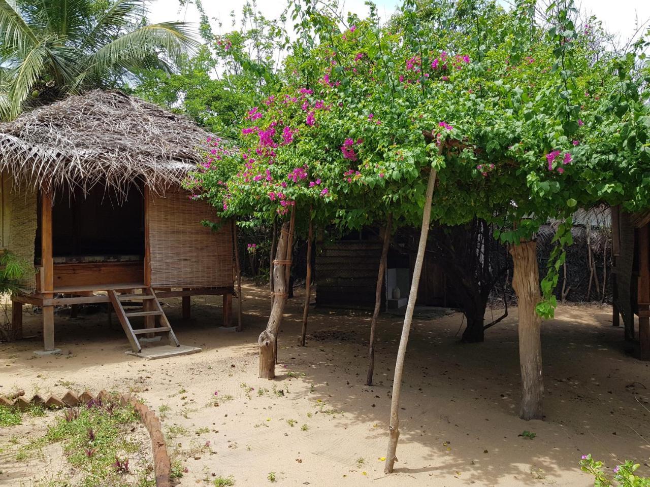 Albero Cabanas 阿鲁甘湾 外观 照片