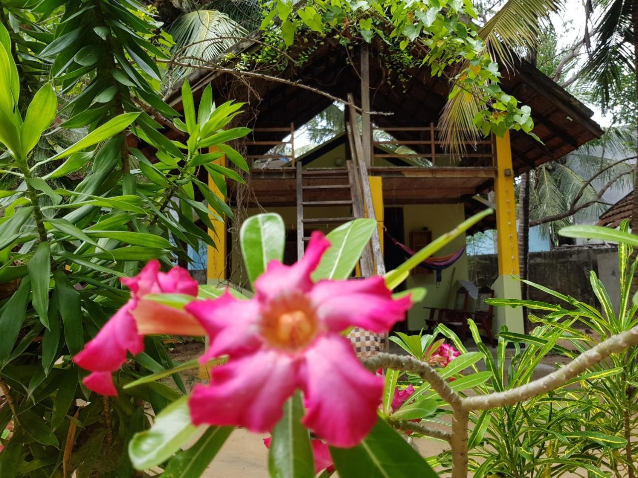 Albero Cabanas 阿鲁甘湾 外观 照片
